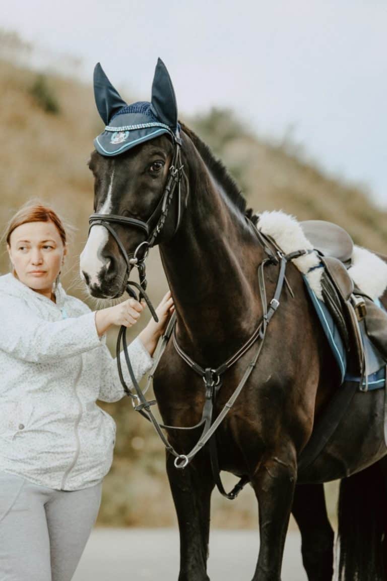 How to get on a horse without a mounting block
