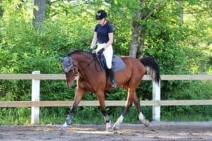 What muscles does horse riding work